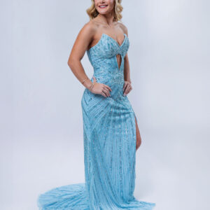Ice Blue Gown
